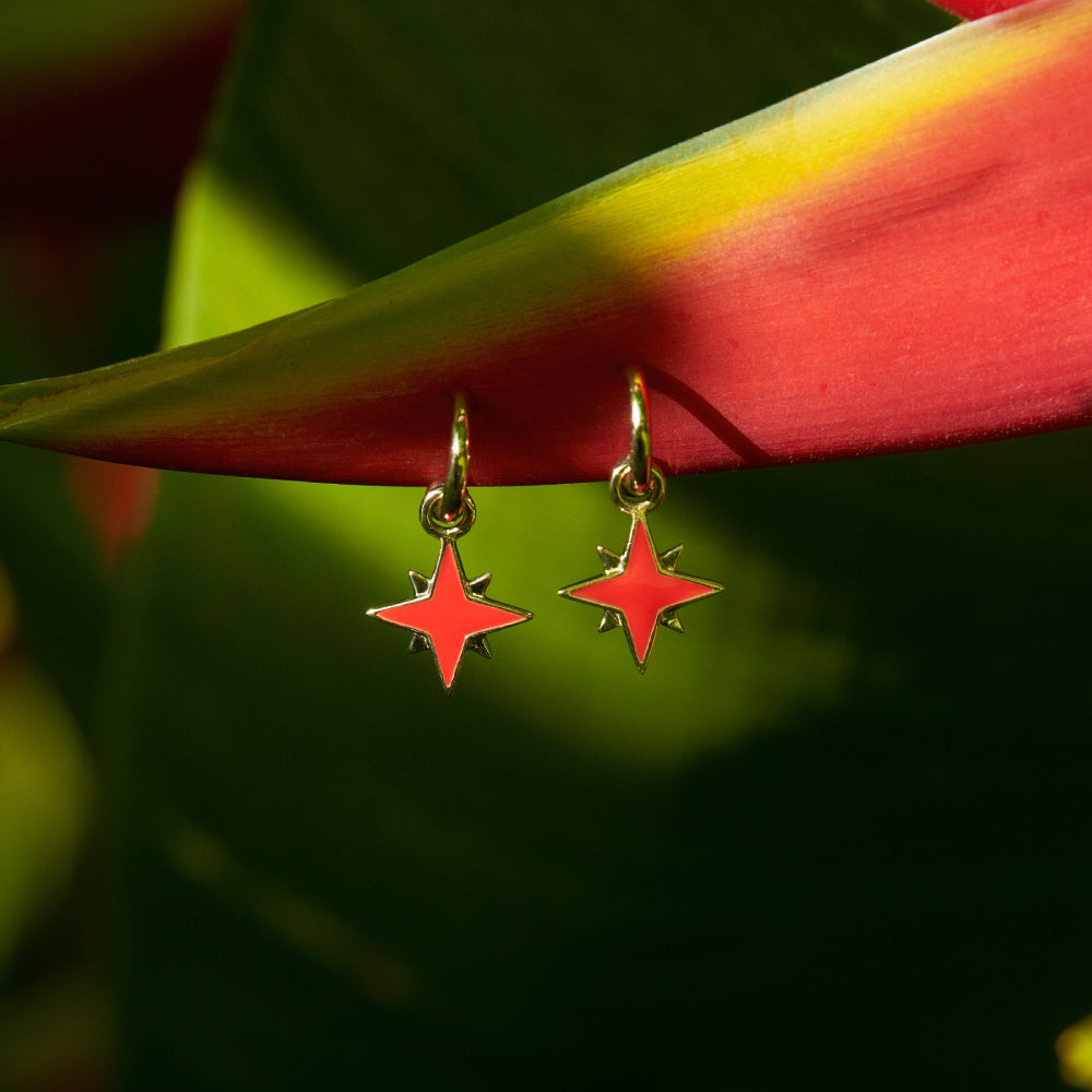 9ct Yellow Gold Earrings with Interchangeable Red Enamel Star Drops