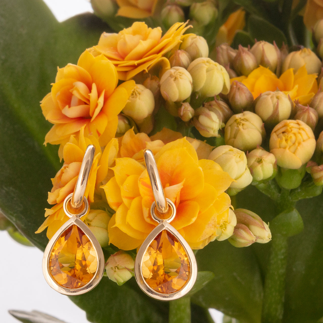 9ct Yellow Gold Hoop Earrings with Detachable Citrine Pear Drops